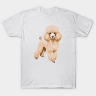 Cute Poodle Drawing T-Shirt